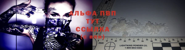 стафф Ижевск
