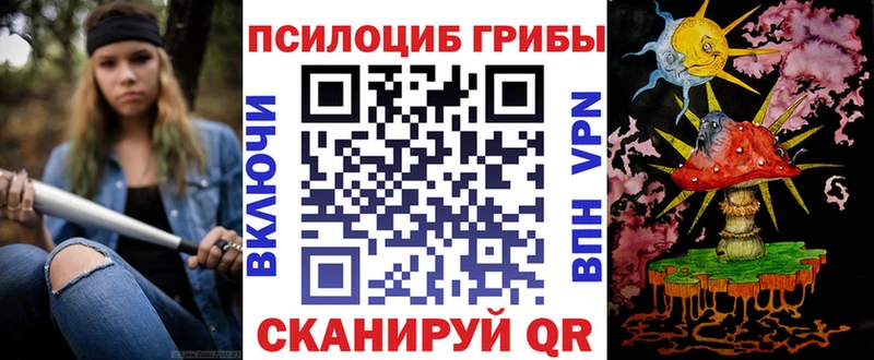 Галлюциногенные грибы Cubensis  ссылка на мегу зеркало  Анива  цена наркотик 