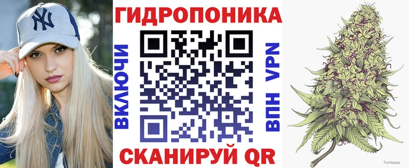 наркота Анива Бошки марихуана Amnesia